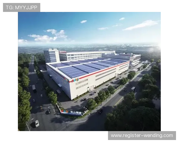 问鼎国际版：引领全球市场的创新战略解析